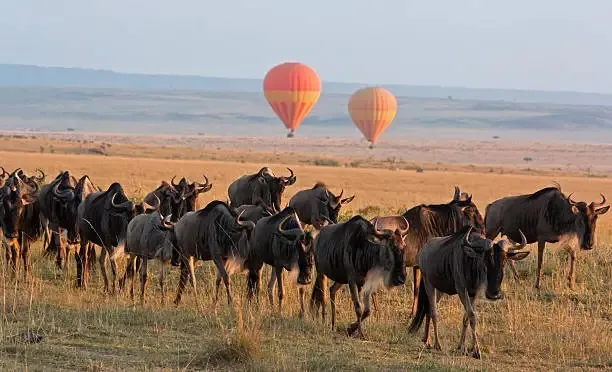 Hot air balloon ride