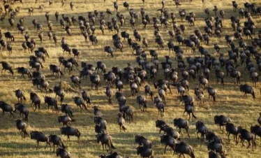 Maasai Mara Sky view