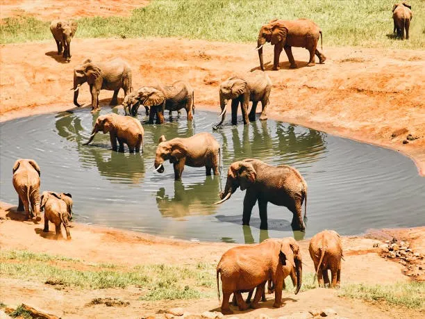 Adventure in Tsavo National Park