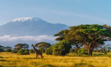 Mt Kilimanjaro from Amboseli