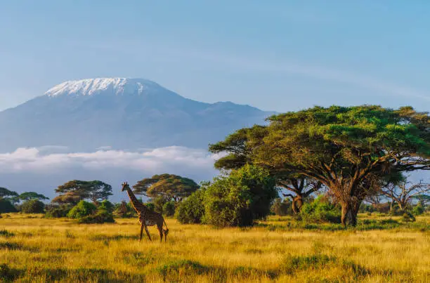 Amboseli National Park Mt Kilimanjaro from Amboseli