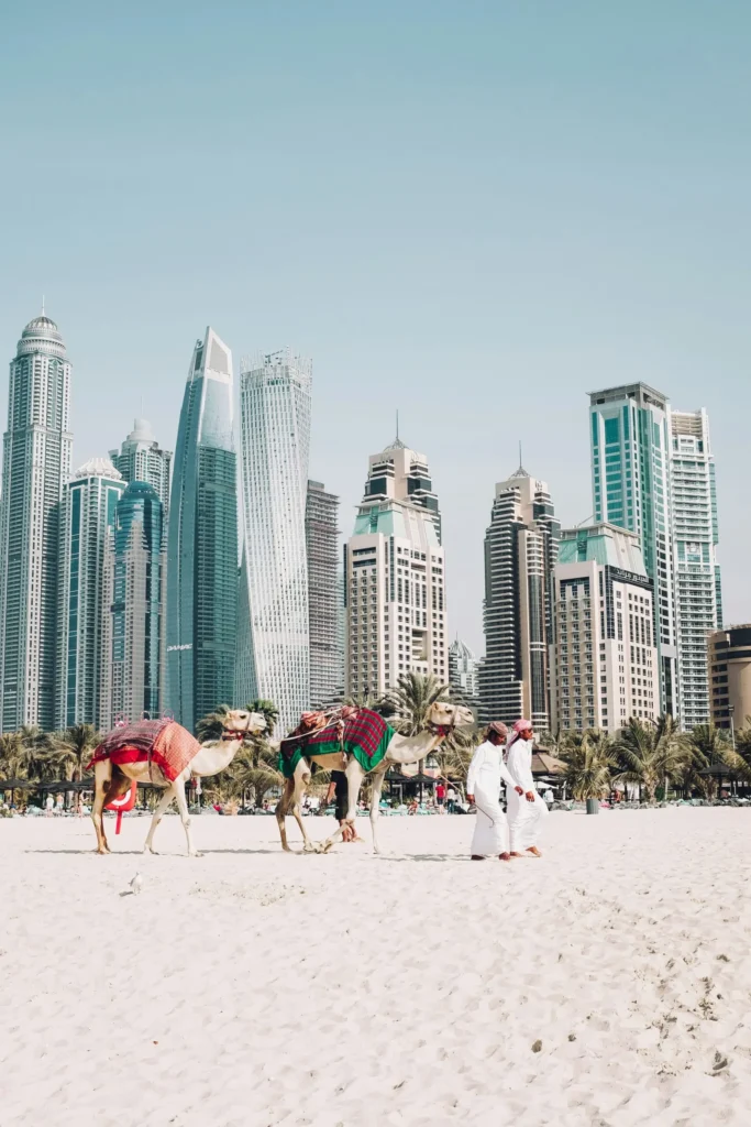 Camel ride