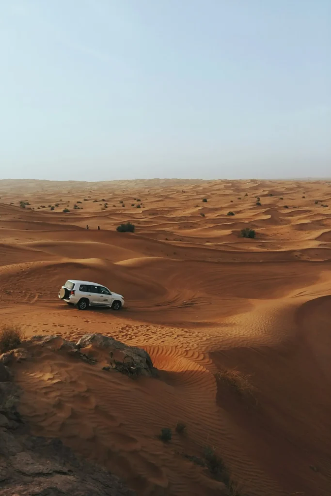 Desert Drive
