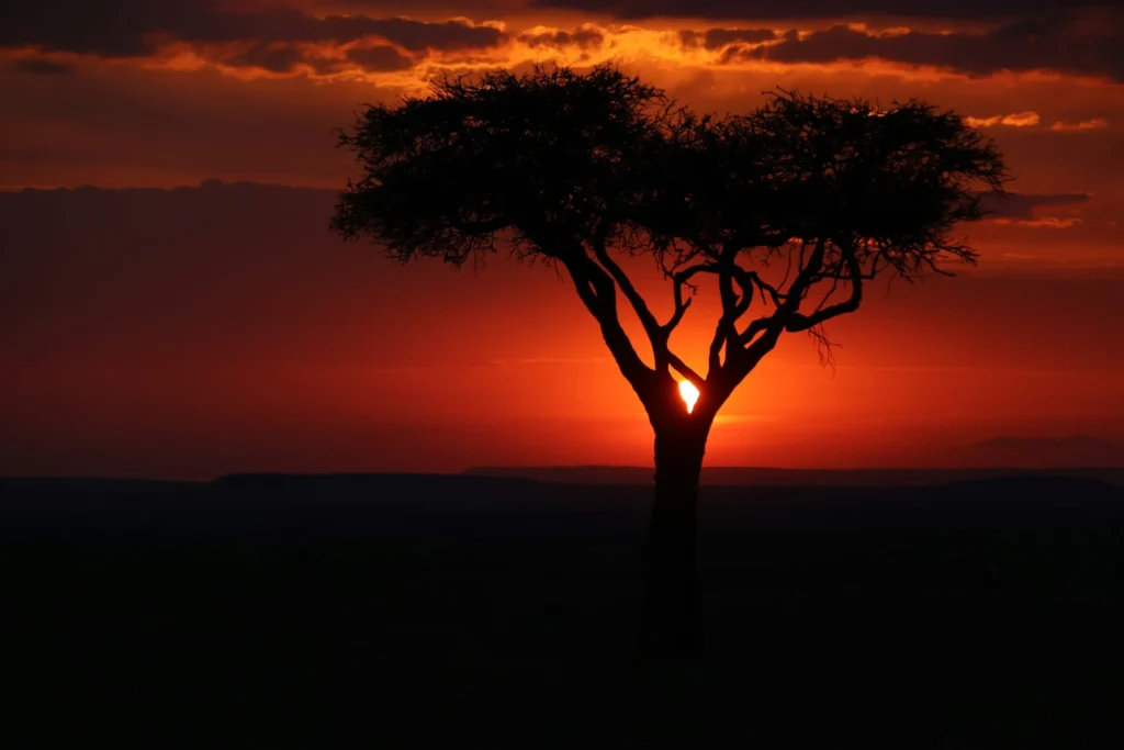 Sunset at the plateau