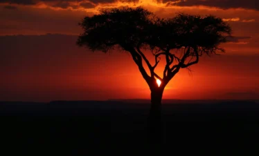 Sunset at the plateau