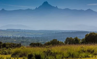 Vegetation at Mount Kenya