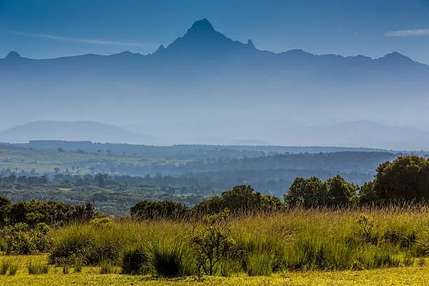 Vegetation at Mount Kenya